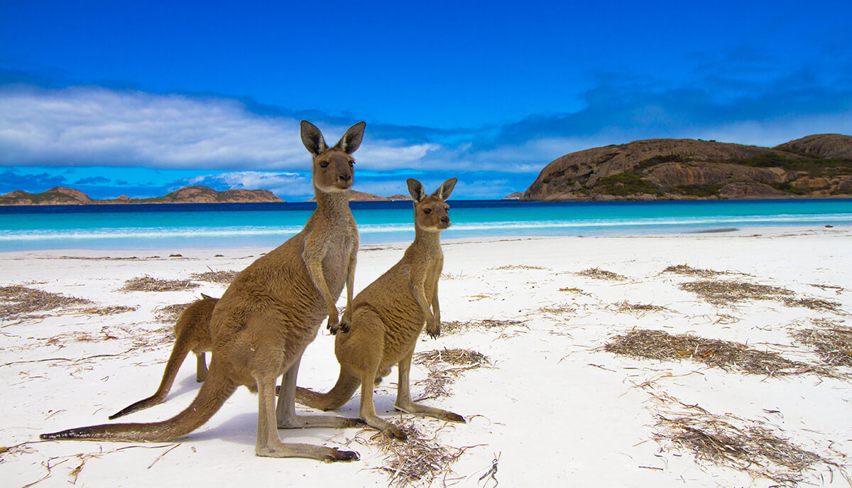 Kangaroo-Island-Australia-SOCIAL